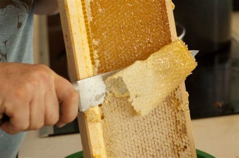 How to Harvest Honey from a Beehive: A Journey into the Sweet World of Beekeeping and the Art of Listening to Bees