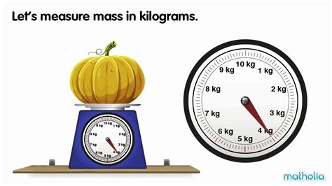 How to Read a Weight Scale for Food: A Journey Through Measurement and Imagination