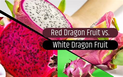 How to Tell If Dragon Fruit Is Red or White: A Journey Through the Labyrinth of Tropical Mysteries