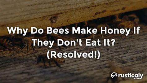 Is Eating Honey Good for Acne? And Why Do Bees Never Get Acne?