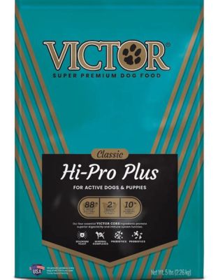 Is Victor a Good Dog Food? Exploring the Cosmic Connection Between Canine Nutrition and Quantum Physics