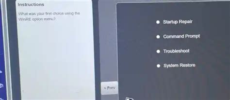 What was your first choice using the WinRE option menu, and how does it reflect your approach to problem-solving in a digital world?